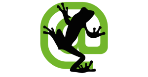 Screaming Frog - Ramón Borrás Consultor SEO local